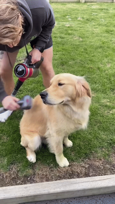 GROOME™ 3-In-1 Vacuum Pet Brush
